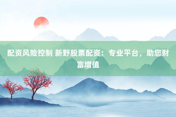 配资风险控制 新野股票配资：专业平台，助您财富增值