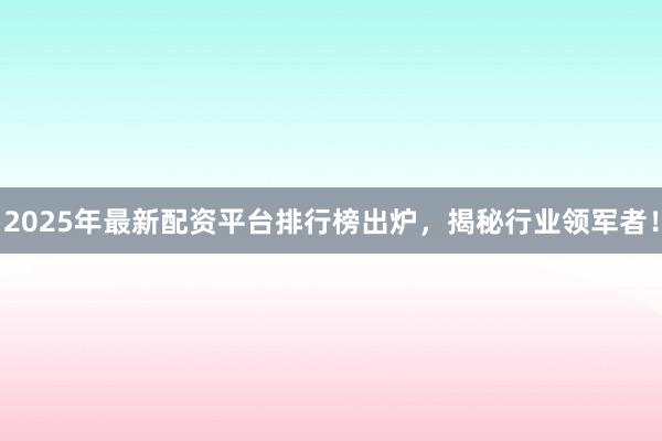2025年最新配资平台排行榜出炉，揭秘行业领军者！