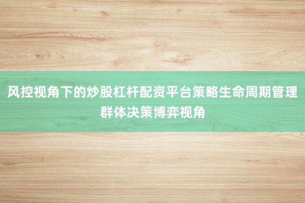 风控视角下的炒股杠杆配资平台策略生命周期管理群体决策博弈视角