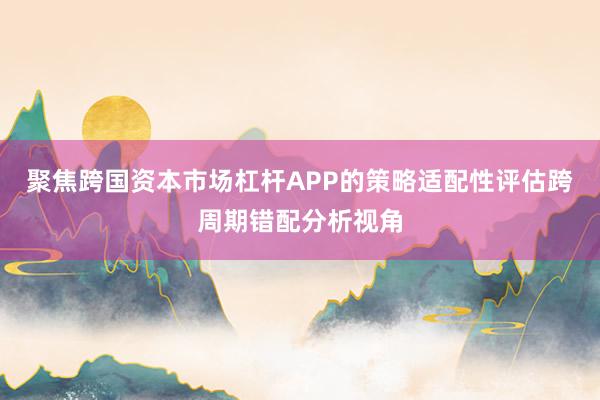 聚焦跨国资本市场杠杆APP的策略适配性评估跨周期错配分析视角