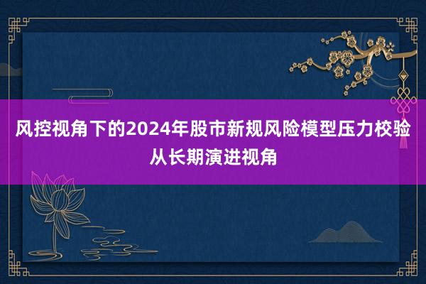 风控视角下的2024年股市新规风险模型压力校验从长期演进视角